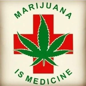 Meet your Posher, Roger